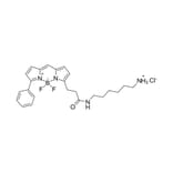 Chemical Structure - BDP R6G amine (A270099) - Antibodies.com