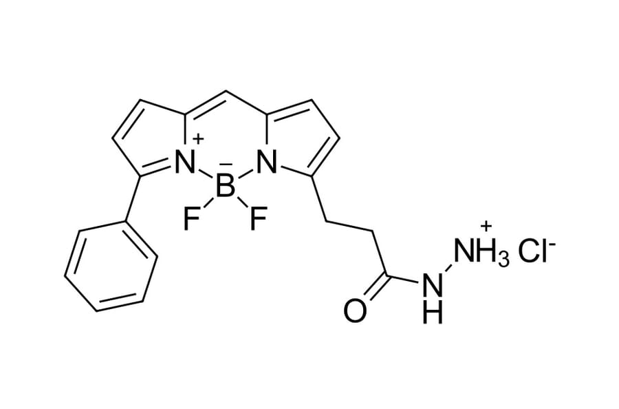 Chemical Structure - BDP R6G hydrazide (A270103) - Antibodies.com