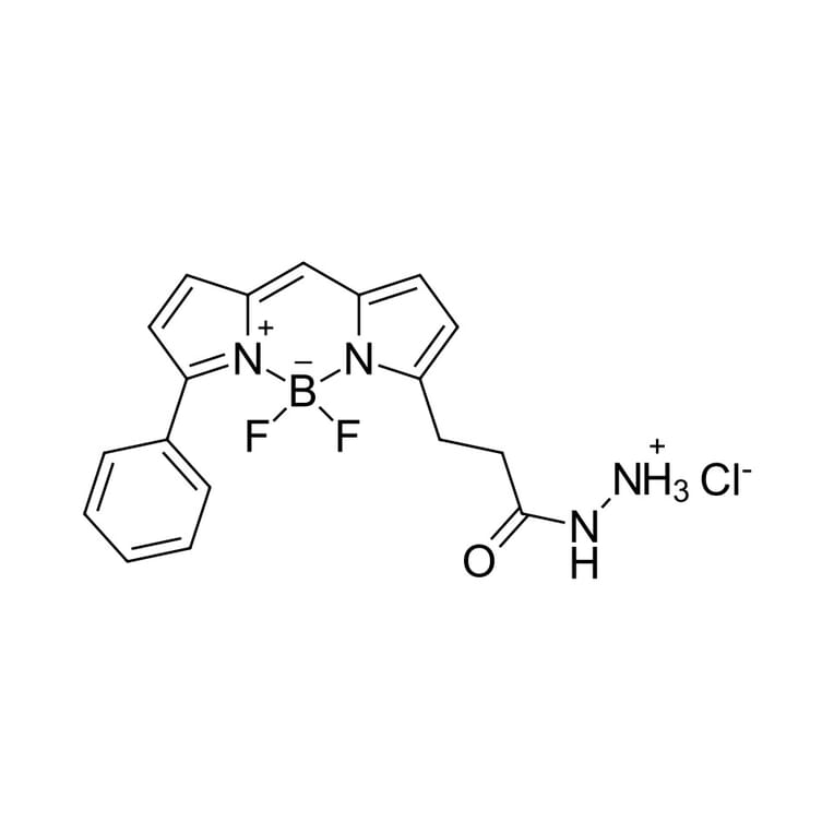 Chemical Structure - BDP R6G hydrazide (A270103) - Antibodies.com
