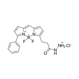 Chemical Structure - BDP R6G hydrazide (A270103) - Antibodies.com