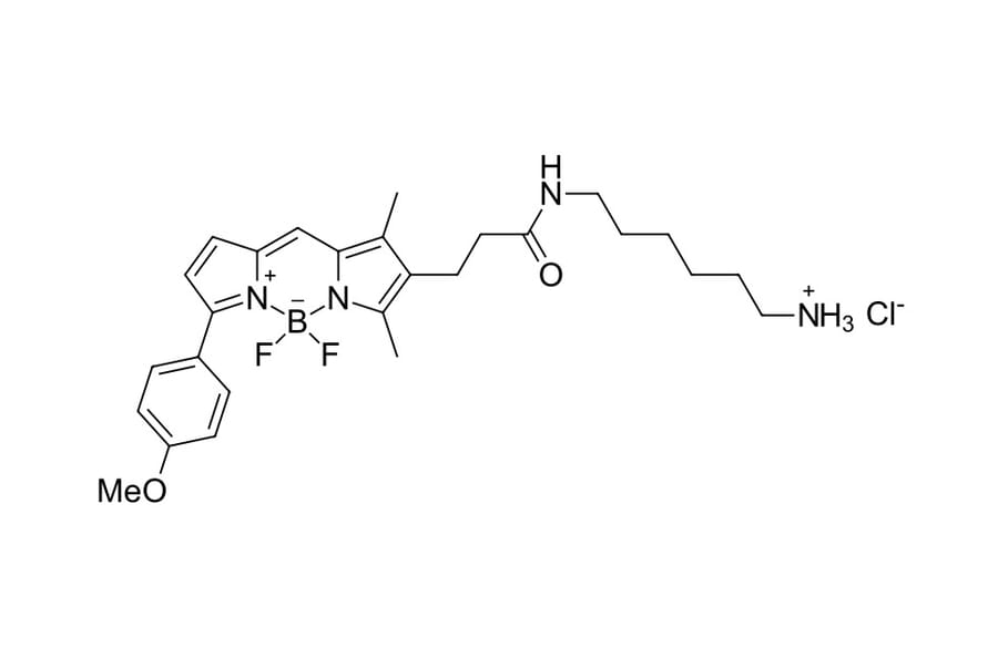Chemical Structure - BDP TMR amine (A270108) - Antibodies.com