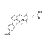 Chemical Structure - BDP TMR carboxylic acid (A270110) - Antibodies.com