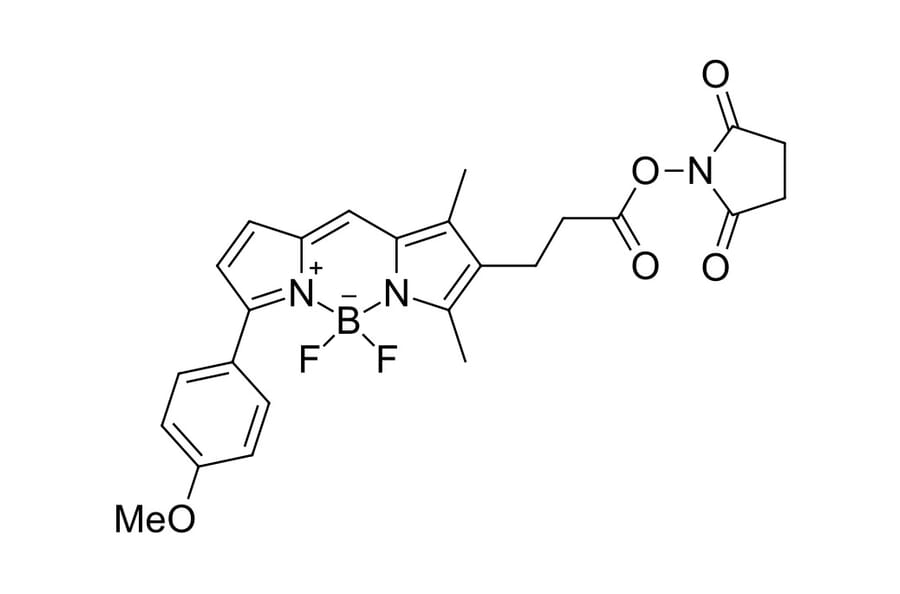 Chemical Structure - BDP TMR NHS ester (A270112) - Antibodies.com