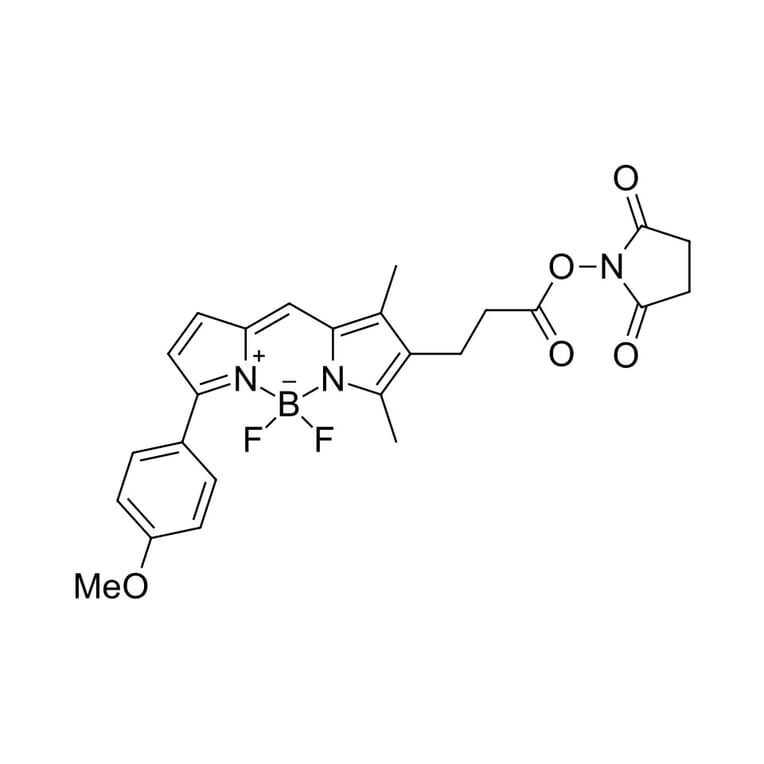Chemical Structure - BDP TMR NHS ester (A270112) - Antibodies.com