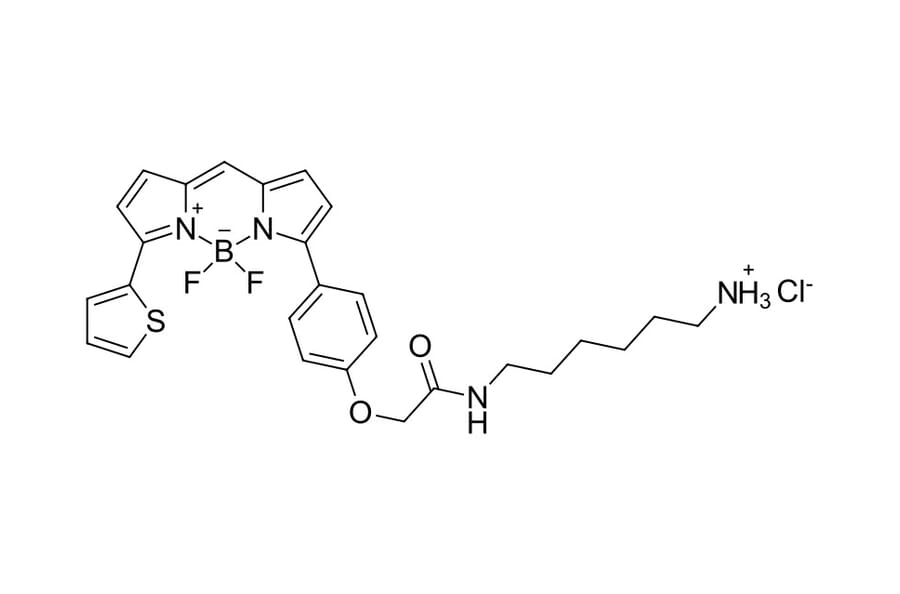 Chemical Structure - BDP TR amine (A270114) - Antibodies.com