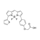 Chemical Structure - BDP TR carboxylic acid (A270116) - Antibodies.com