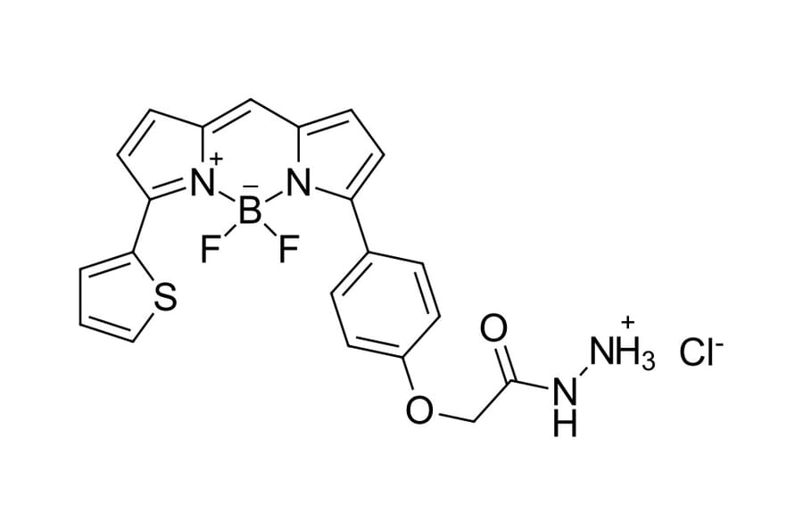 Chemical Structure - BDP TR hydrazide (A270117) - Antibodies.com