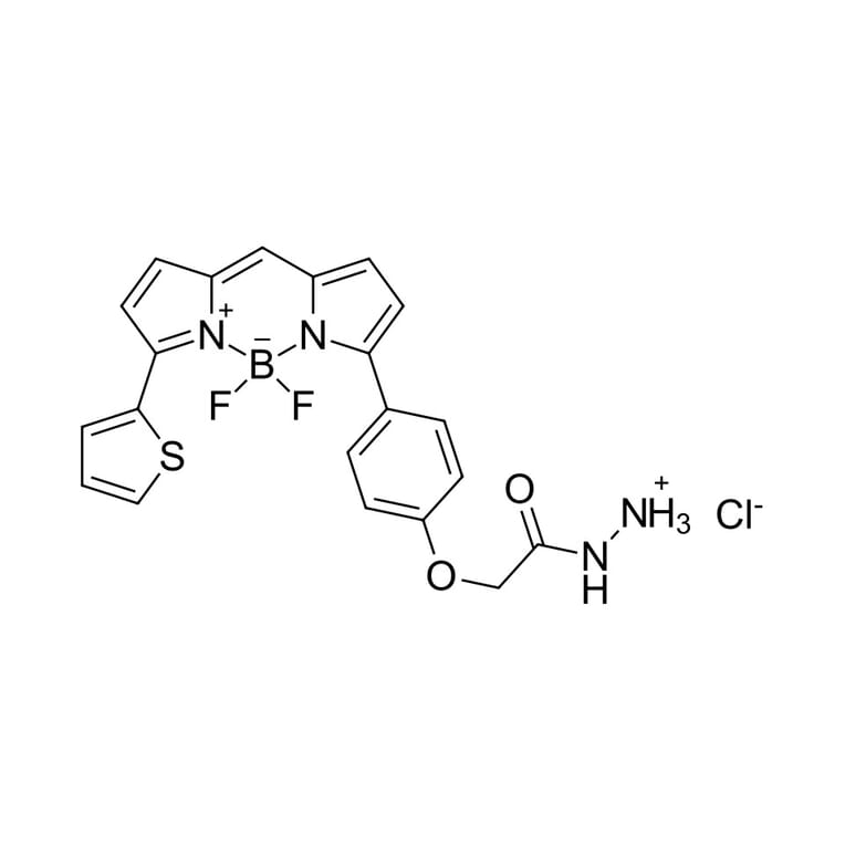 Chemical Structure - BDP TR hydrazide (A270117) - Antibodies.com