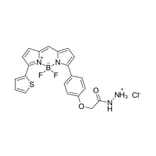 Chemical Structure - BDP TR hydrazide (A270117) - Antibodies.com