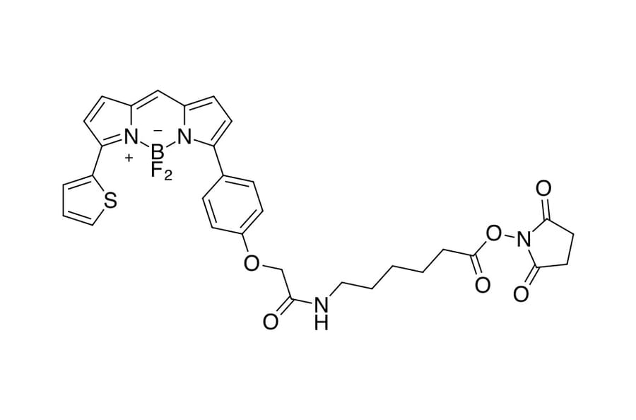 Chemical Structure - BDP TR X NHS ester (A270122) - Antibodies.com