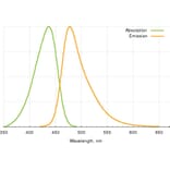 Fluorescence Spectra - Coumarin 343 azide (A270129) - Antibodies.com