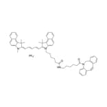 Chemical Structure - Cyanine 5.5 DBCO (A270154) - Antibodies.com