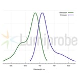 Fluorescence Spectra - Cyanine 5.5 DBCO (A270154) - Antibodies.com