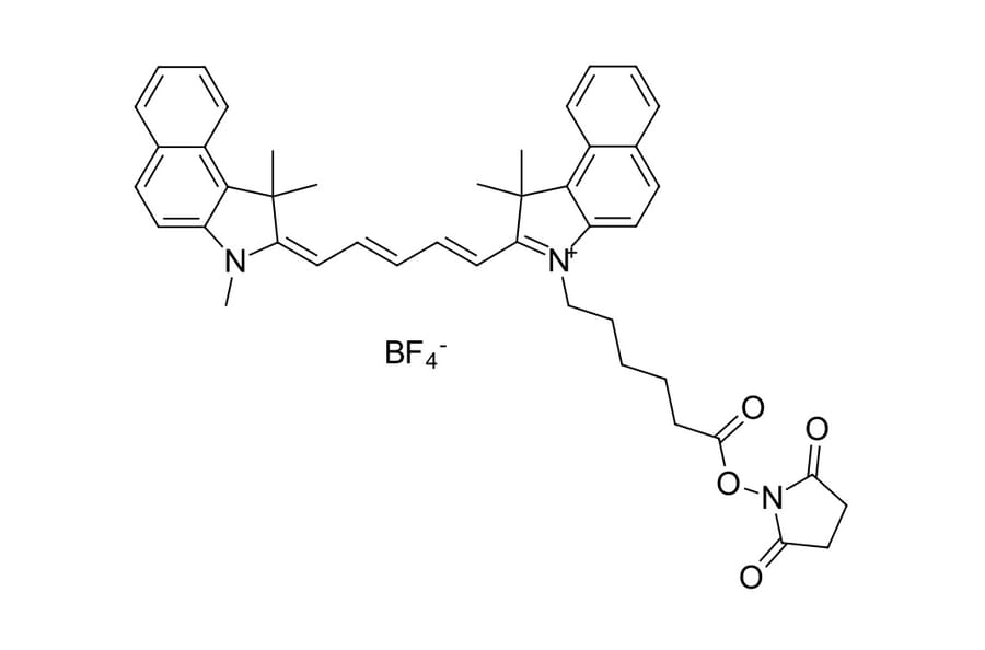 Chemical Structure - Cyanine 5.5 NHS ester (A270157) - Antibodies.com