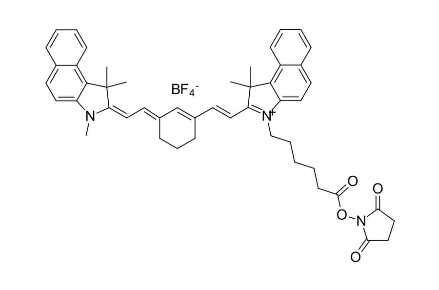 Chemical Structure - Cyanine 7.5 NHS ester (A270180) - Antibodies.com