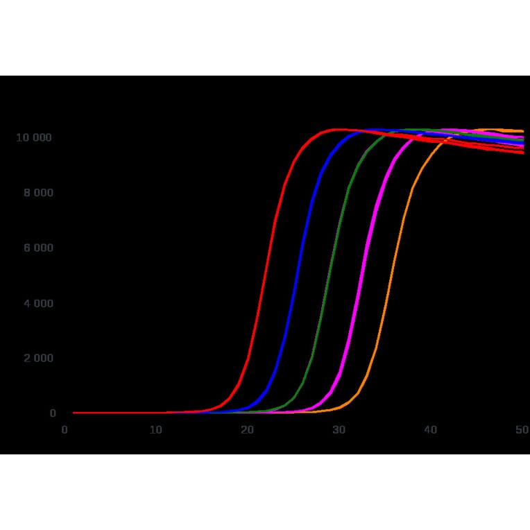qPCR - dsGreen for Real-Time PCR (A270197) - Antibodies.com