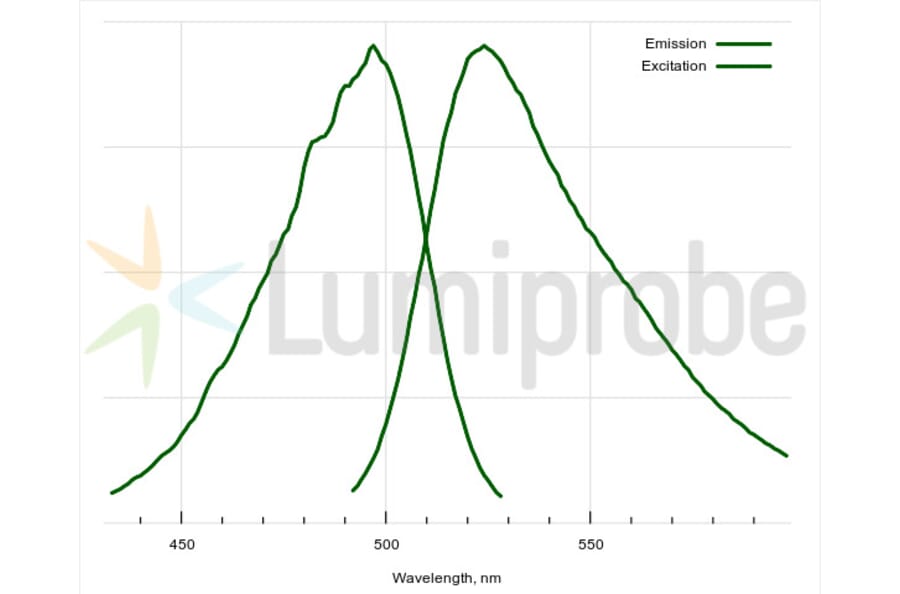 Fluorescence Spectra - dsGreen Gel Staining Solution (A270198) - Antibodies.com