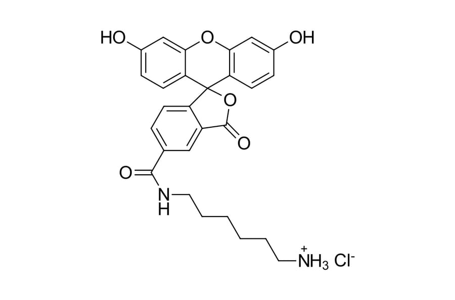 Chemical Structure - FAM amine, 5-isomer (A270206) - Antibodies.com