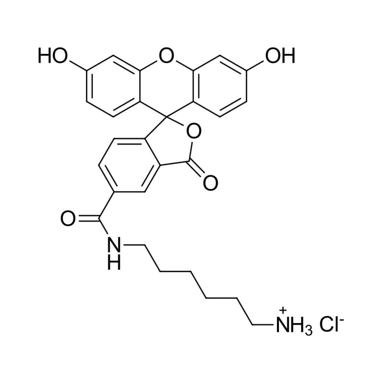 Chemical Structure - FAM amine, 5-isomer (A270206) - Antibodies.com