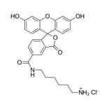 Chemical Structure - FAM amine, 5-isomer (A270206) - Antibodies.com