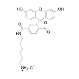 Chemical Structure - FAM amine, 6-isomer (A270207) - Antibodies.com