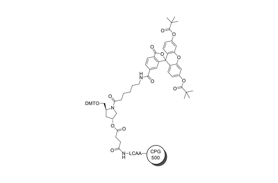 Chemical Structure - FAM CPG 500, 6-isomer (A270212) - Antibodies.com