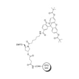 Chemical Structure - FAM CPG 500, 6-isomer (A270212) - Antibodies.com