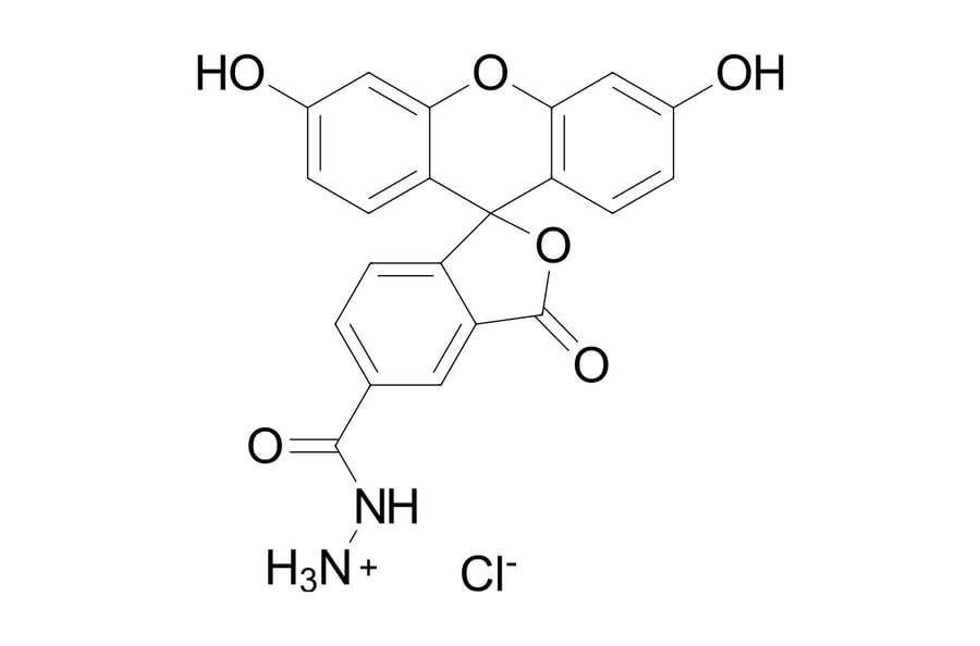 Chemical Structure - FAM hydrazide, 5-isomer (A270214) - Antibodies.com
