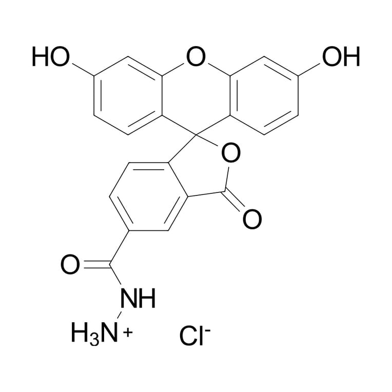 Chemical Structure - FAM hydrazide, 5-isomer (A270214) - Antibodies.com