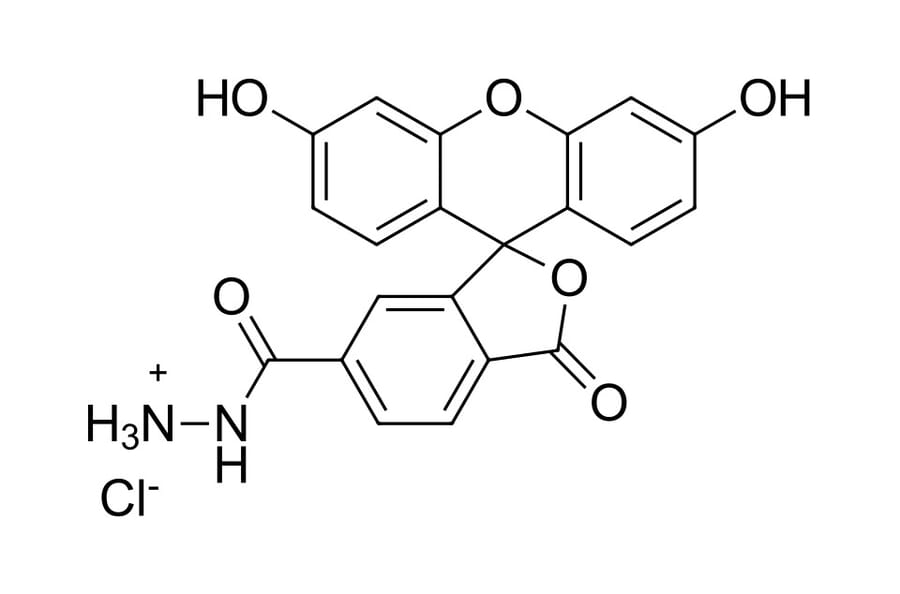 Chemical Structure - FAM hydrazide, 6-isomer (A270215) - Antibodies.com