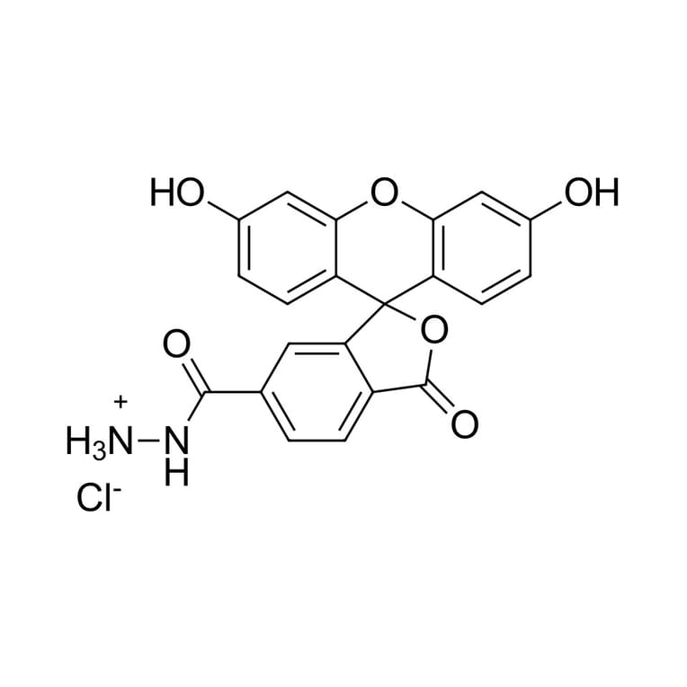 Chemical Structure - FAM hydrazide, 6-isomer (A270215) - Antibodies.com