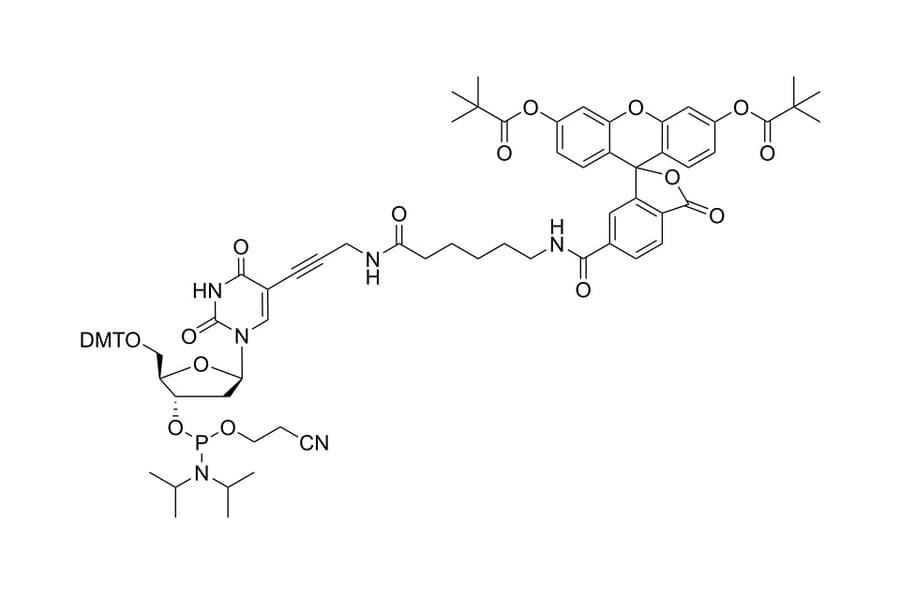 Chemical Structure - Fluorescein-dT phosphoramidite (A270221) - Antibodies.com