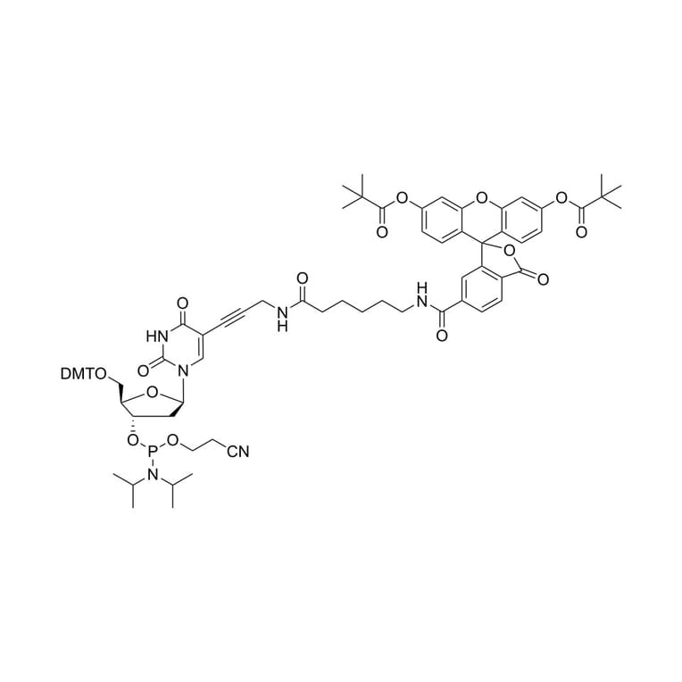 Chemical Structure - Fluorescein-dT phosphoramidite (A270221) - Antibodies.com