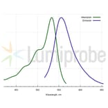 Fluorescence Spectra - JOE alkyne, 6-isomer (A270230) - Antibodies.com
