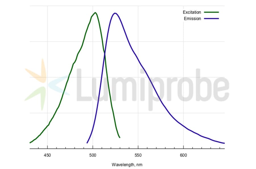 Fluorescence Spectra - Pico488 dsDNA Quantification Reagent (A270242) - Antibodies.com