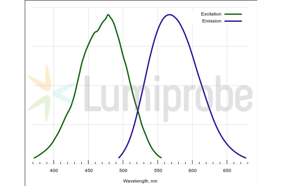 Fluorescence Spectra - ProteOrange Protein Quantification Reagent (A270245) - Antibodies.com