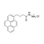 Chemical Structure - Pyrene hydrazide (A270250) - Antibodies.com