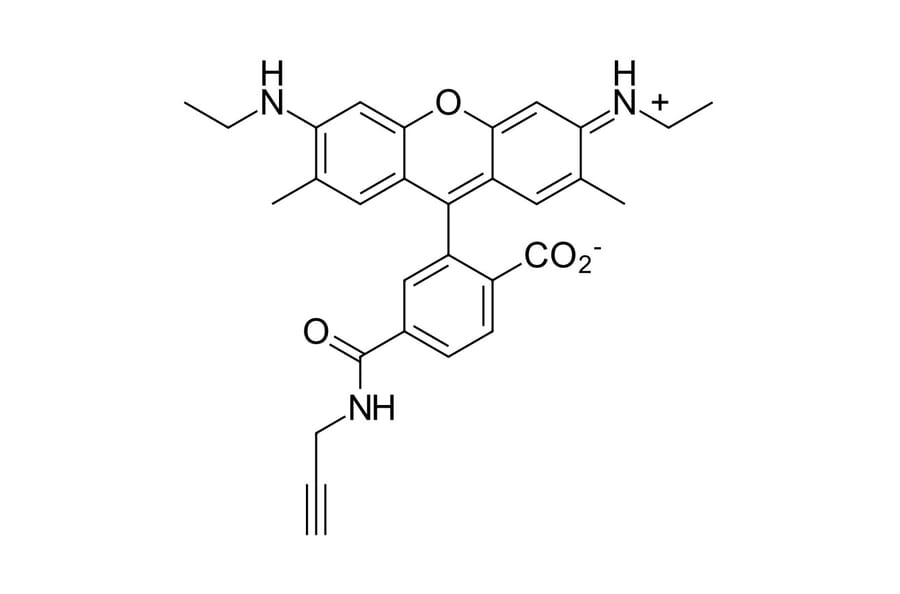 Chemical Structure - R6G alkyne, 6-isomer (A270256) - Antibodies.com