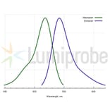 Fluorescence Spectra - R6G alkyne, 6-isomer (A270256) - Antibodies.com