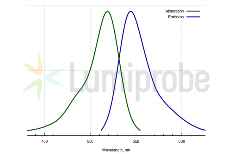 Fluorescence Spectra - R6G azide, 5-isomer (A270258) - Antibodies.com