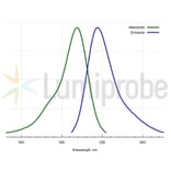 Fluorescence Spectra - R6G azide, 5-isomer (A270258) - Antibodies.com