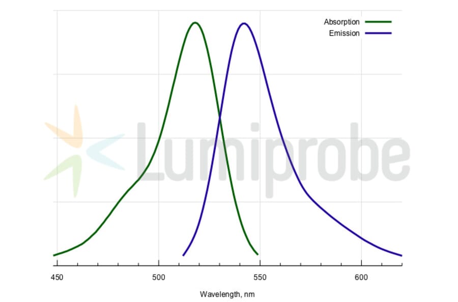 Fluorescence Spectra - R6G phosphoramidite, 6-isomer (A270259) - Antibodies.com