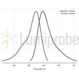 Fluorescence Spectra - ROX DBCO, 5-isomer (A270263) - Antibodies.com