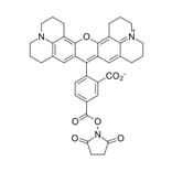 Chemical Structure - ROX NHS ester, 5-isomer (A270265) - Antibodies.com