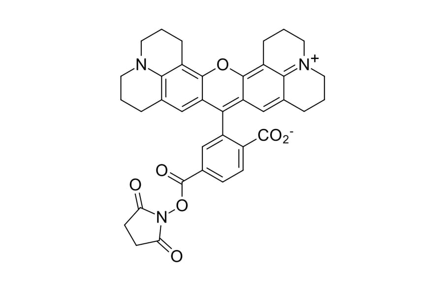 Fluorescence Spectra - ROX NHS ester, 6-isomer (A270266) - Antibodies.com