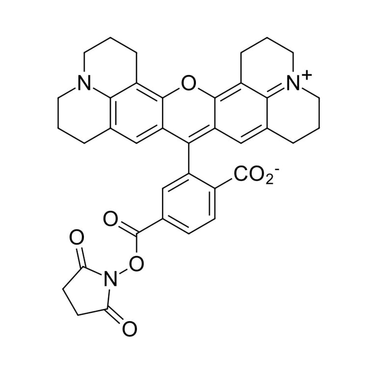 Fluorescence Spectra - ROX NHS ester, 6-isomer (A270266) - Antibodies.com