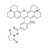 Fluorescence Spectra - ROX NHS ester, 6-isomer (A270266) - Antibodies.com
