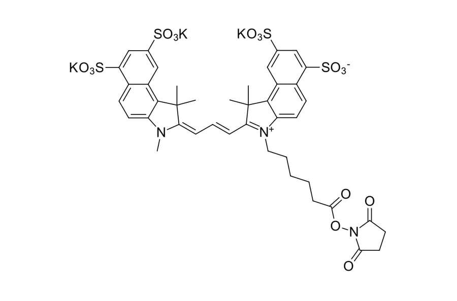 Chemical Structure - Sulfo-Cyanine 3.5 NHS ester (A270271) - Antibodies.com