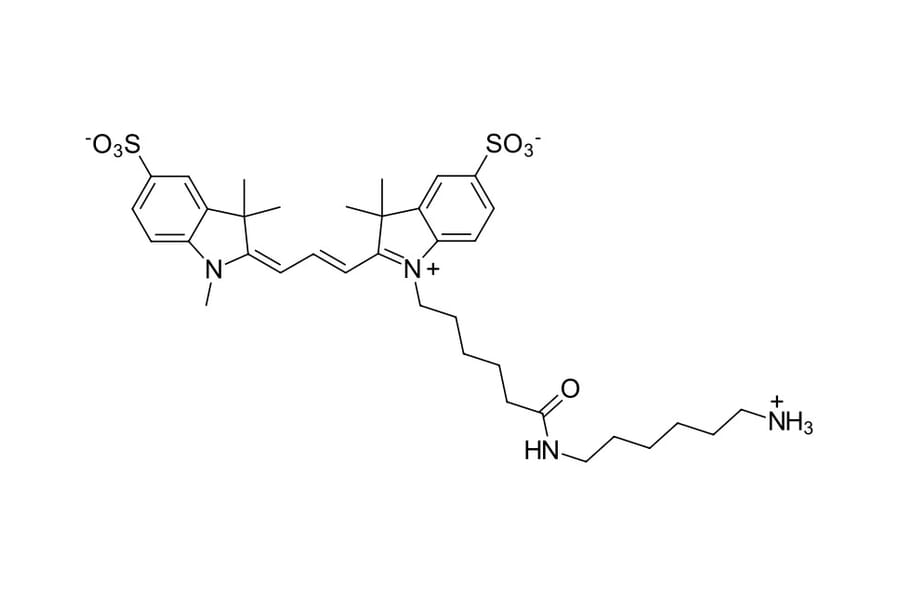 Chemical Structure - Sulfo-Cyanine 3 amine (A270273) - Antibodies.com