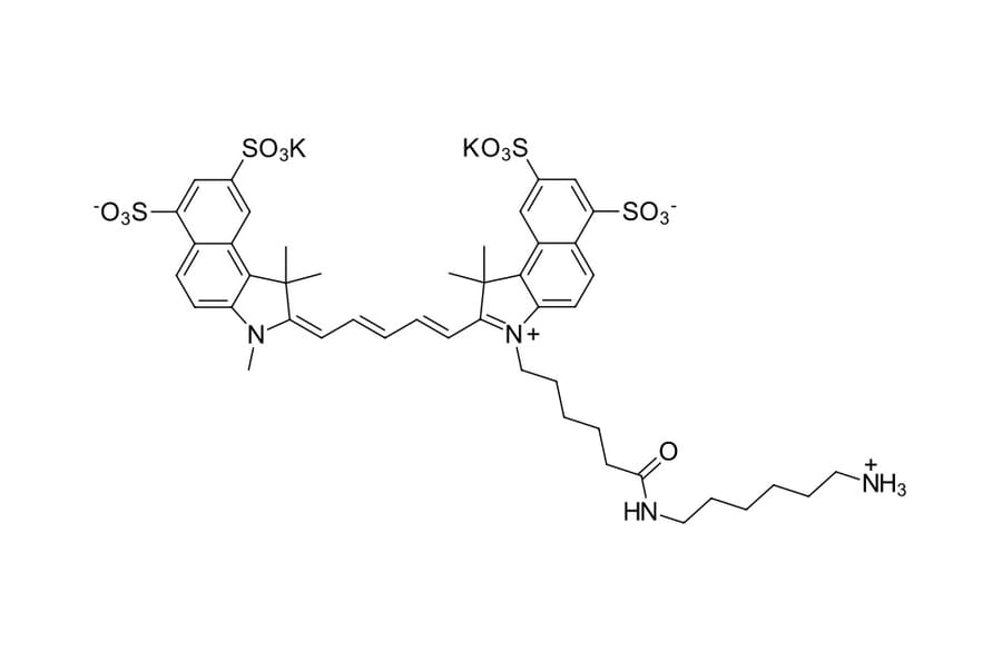 Chemical Structure - Sulfo-Cyanine 5.5 amine (A270282) - Antibodies.com